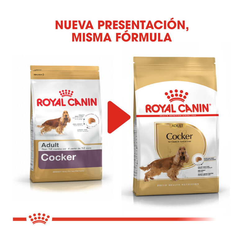 Royal Canin Adult Cocker pienso para perros, , large image number null